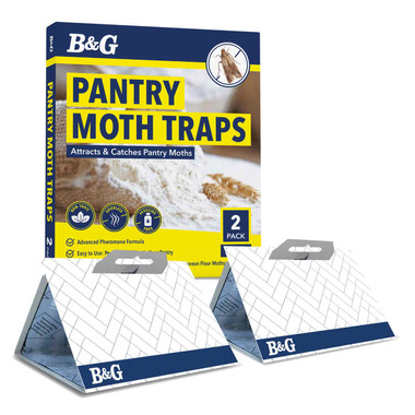 B&G Pantry Moth Trap with Pheromone hero shot